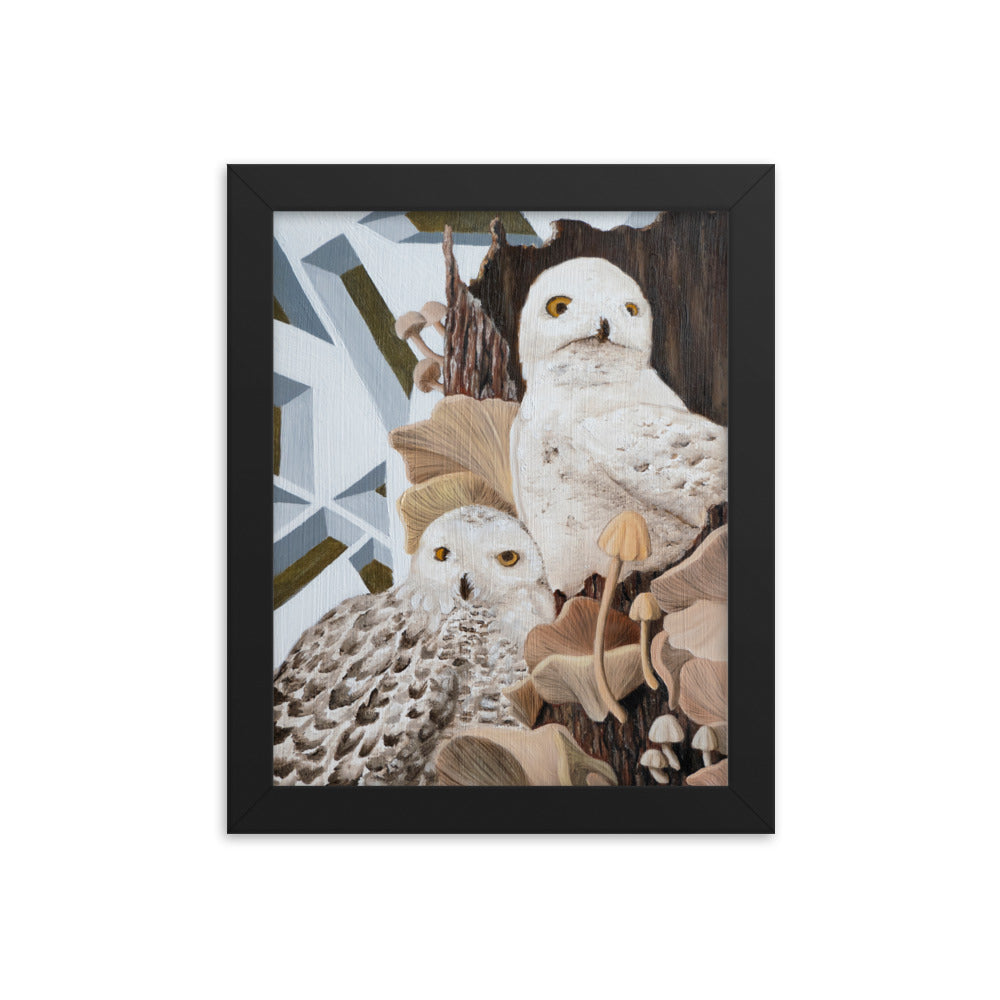 Feathers and Fungi 8x10in Framed Print