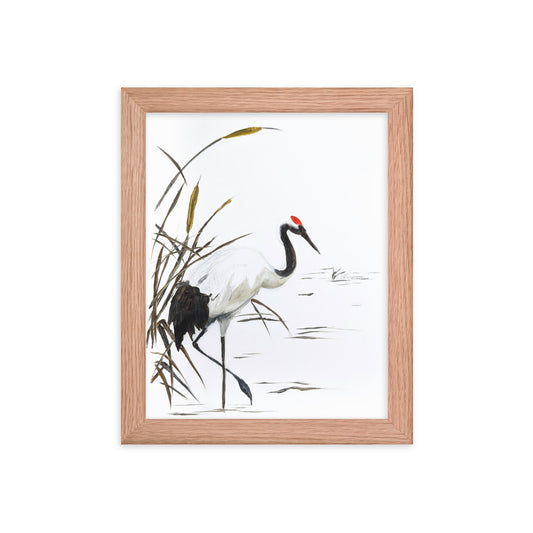 Crane Among Reeds 8x10in Framed Print