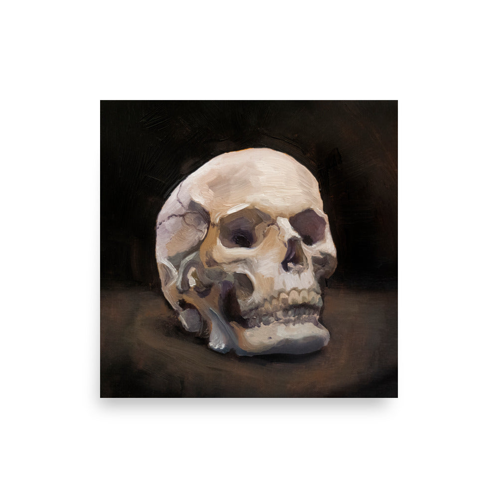 Memento Mori, Still Life Skull 10x10in Print