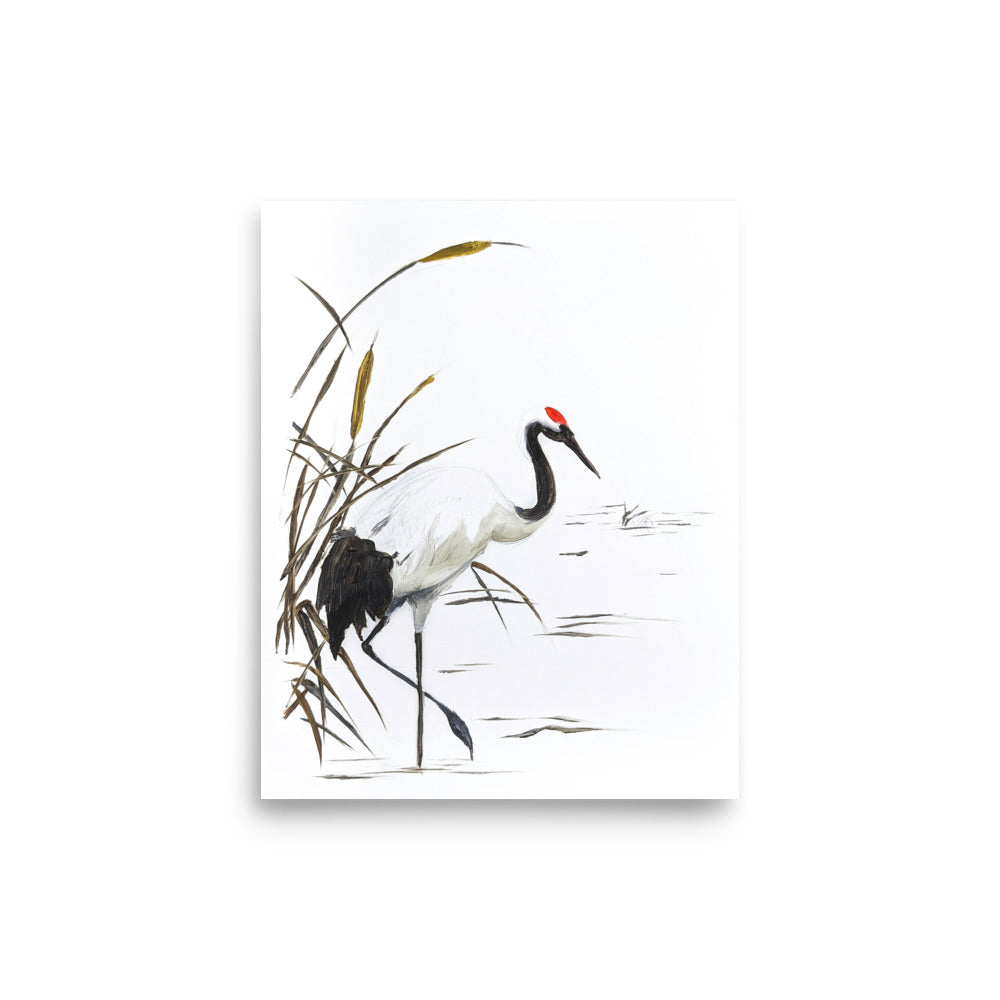 Crane Among Reeds 8x10in Print