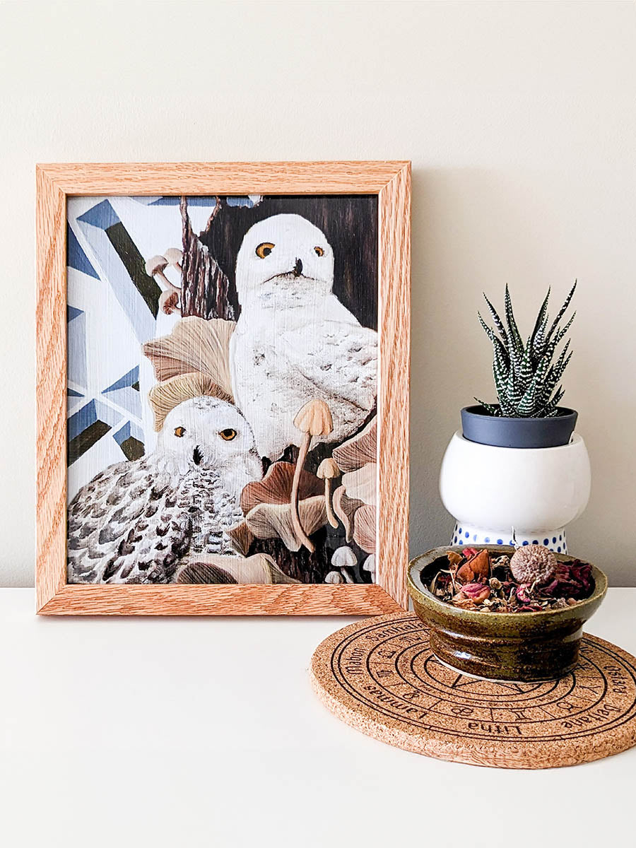 Feathers and Fungi 8x10in Framed Print